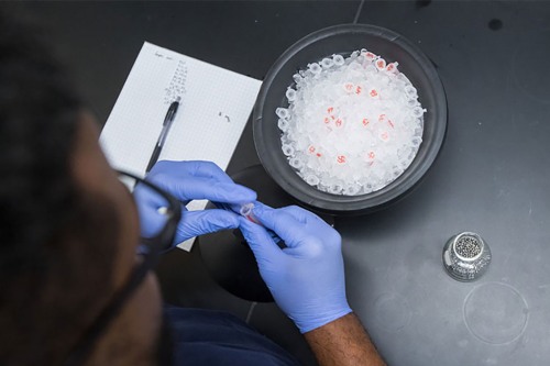 Researcher working with samples